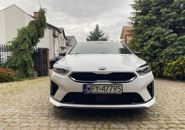 Kia Pro_cee'd cena 84900 przebieg: 90000, rok produkcji 2020 z Opoczno małe 407